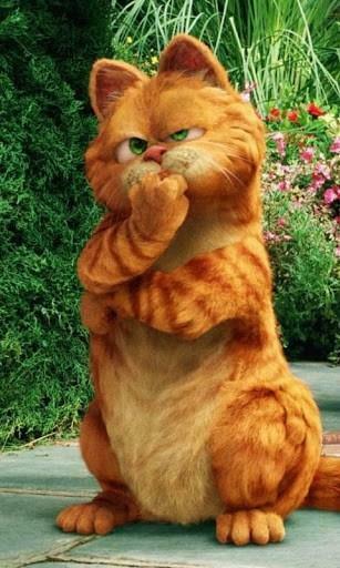 Best Garfield Wallpaper For Android Appszoom