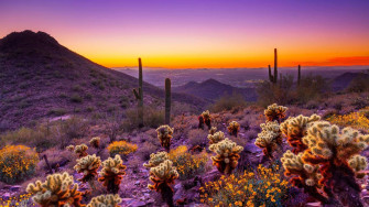 Arizona Sunset Desert Area Orange Sky Clouds Desktop HD Wallpaper
