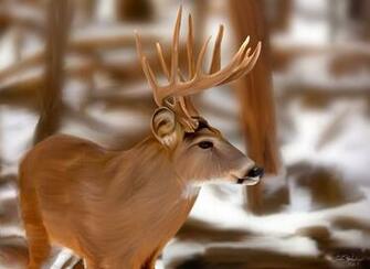 Whitetail Deer In Snow Wallpaper Snowy By Jskit
