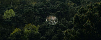 Ultra Wide Nature Wallpaper