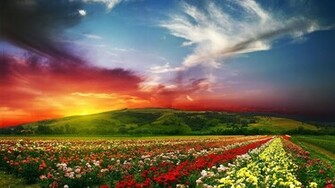 New 3d Wallpaper Nature Desktop
