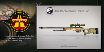 Comprenant Le Tr S Audacieux Awp Dragon Lore