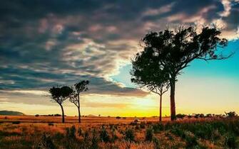 African Savanna Wallpaper And Image Pictures Photos