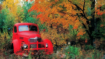 National Rifle Association Logo Wallpaper Autumn Old Truck