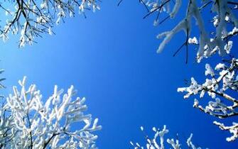 Widescreen Winter Snow Scenes Dreamy Wallpaper