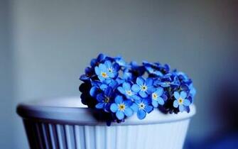 Lovely Blue Flowers Wallpaper