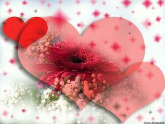 Cat Love Red Flower Wallpaper