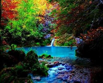 Forest Fall Wallpaper HD Desktopinhq