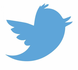 Icons Png Logo Clear Background Bird