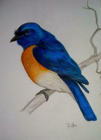 Blue Bird By Rita Fernandes