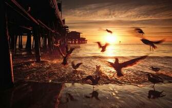 United States California Santa Monica Wallpaper Photos Pictures