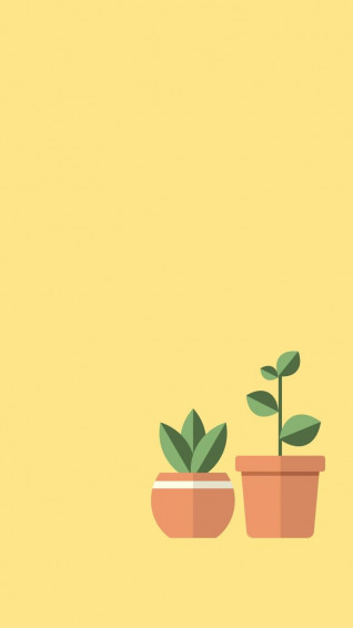 Flat Plant In A Pot Home Screen Lock