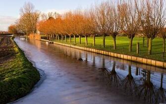 Wallpaper Canal Trees Nature Landscape Desktop HD