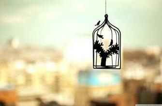 Birds Cage Photo HD Wallpaper Supreme