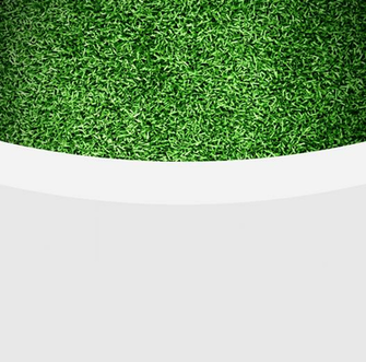 Best Lawn Mowing Background Frosty