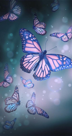 7912dbbd35053f944c874e2b704e846b Butterfly Wallpaper