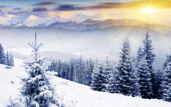 Winter Scenery Picture Wallpaper