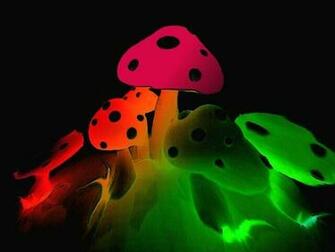 Free download Neon Mushrooms Wallpaper Neon Glowing mu Mushrooms