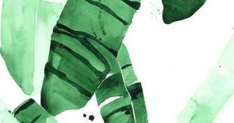 X Beverly Iv Tropical Banana Green Palm Leaves Watercolor