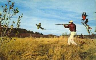 Galleries Pheasant Hunting Wallpaper Duck Painting