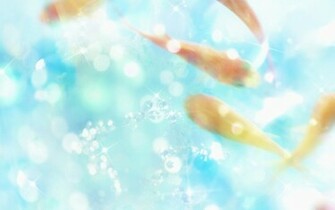 Shiny Wallpaper