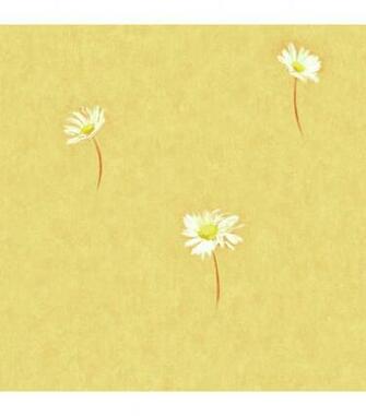 Marguerite Orange Daisies Wallpaper Jo Ann
