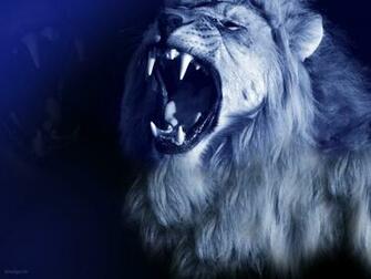 Lion Wallpaper Animal Spot