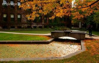 Photos Wallpaper College Admissions The University Of Chicago