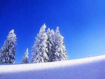 Wallpaper Snow