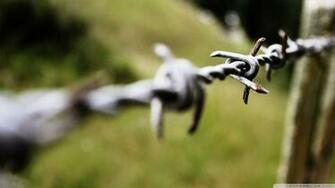 Barb Wire Wallpaper