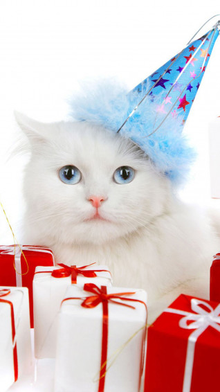 Cat Christmas Android Wallpaper HD