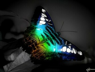 3d Wallpaper Cool