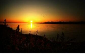 Summer Sunset Wallpaper Related Keywords Amp Suggestions