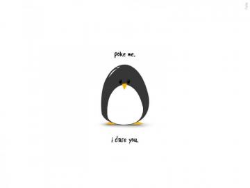 Cute Penguin Wallpaper HD