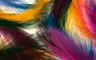 Background Detail Wallpaper Colorful Background