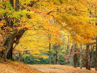 Rural Roadway Bass Lake North Carolina 1600x