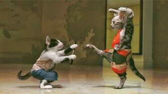 December Funny And Cute Animals