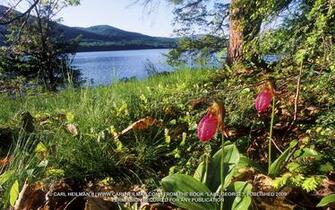 Mountain Montana Wallpaper Adirondacks Adirondack Park
