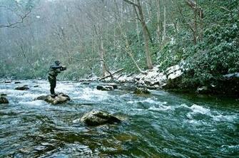 Fly Fishing