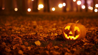 Orange Pumpkin Holiday Halloween HD Wallpaper