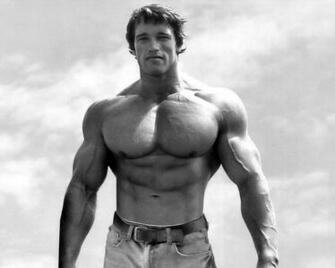 Schwarzenegger Classic Wallpaper And New Photos Movie Stars Pictures