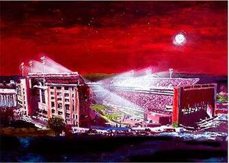 Razorback Stadium Pictures