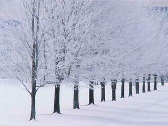 Late Winter Wallpaper Blizzard One Day For