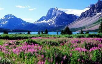 Canada Nature Pictures