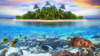 Underwater 4k Ultra HD Wallpaper