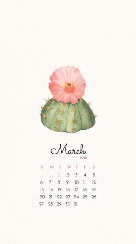 Cactus March Monthly Calendar Photo Rawpixel