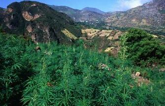 Everything You Need To Know About Smoking Kif In Morocco