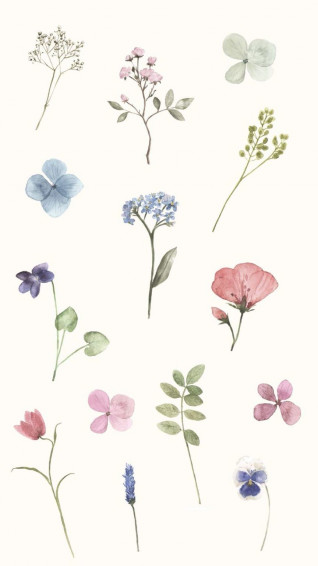 Spring Wallpaper For Your Phone And Computer iPhone