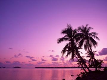 Sunsets