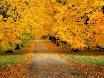 Beautiful Place Wallpaper Wallpaer Jpg